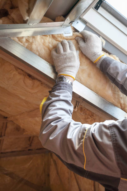 Best Geographic-Specific Insulation Services in Camp Verde, AZ